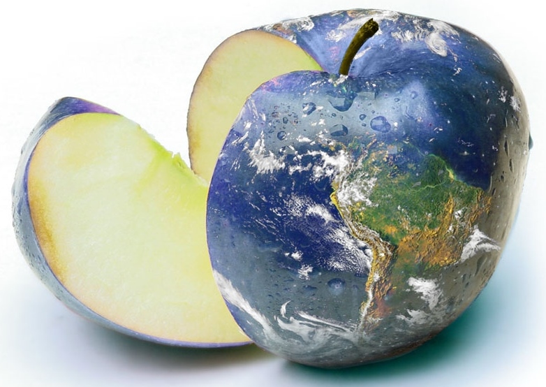 earth apple sliced - cropped