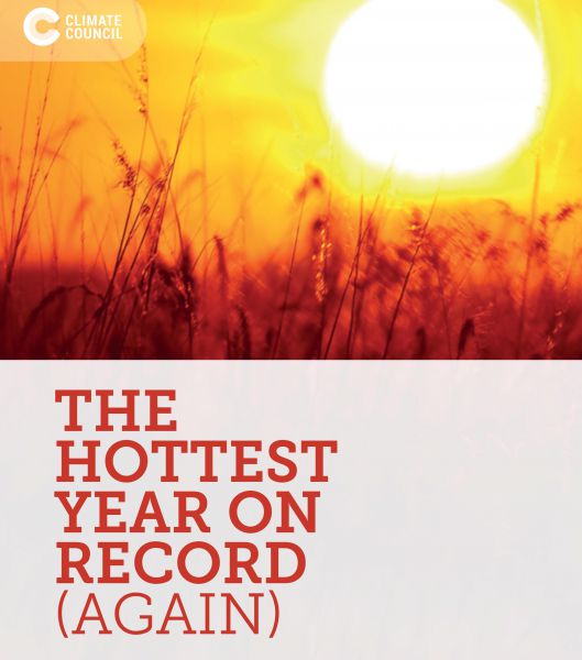 Doubt climate change is real? Then look at hottest years on record